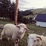 Vakantiehuis Sielski Zakatek Pieniny Szczawnica