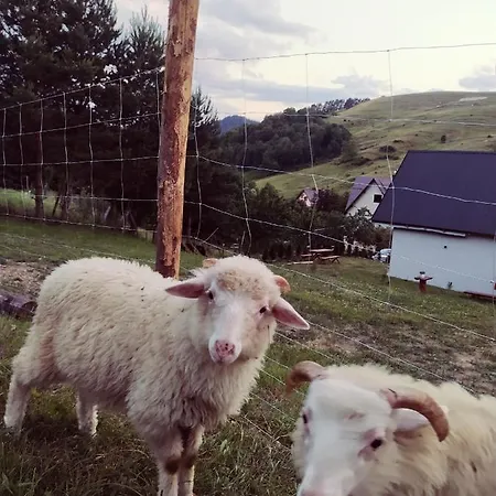Semesterbostad Sielski Zakatek Pieniny Szczawnica